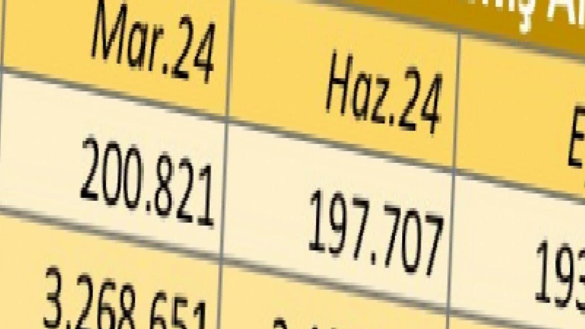 Bankaların Tahsilatı Geciken Alacaklarındaki Artış