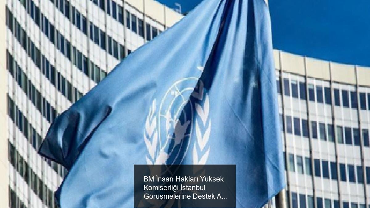 BM İnsan Hakları Yüksek Komiserliği İstanbul Görüşmelerine Destek Açıklaması