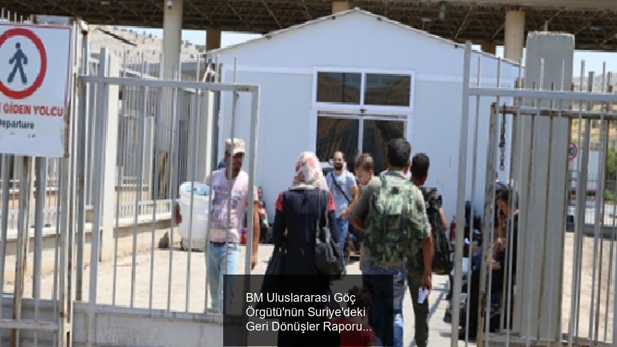BM Uluslararası Göç Örgütü'nün Suriye'deki Geri Dönüşler Raporu