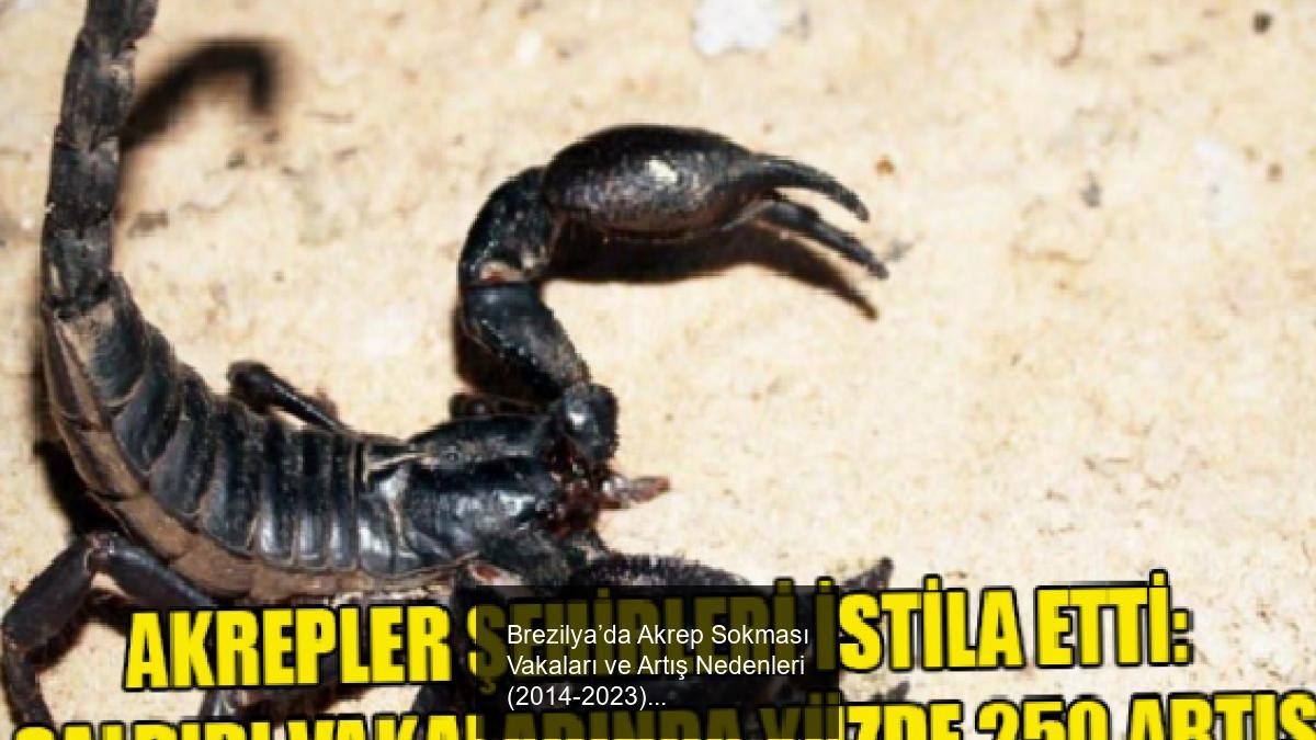 Brezilya’da Akrep Sokması Vakaları ve Artış Nedenleri (2014-2023)