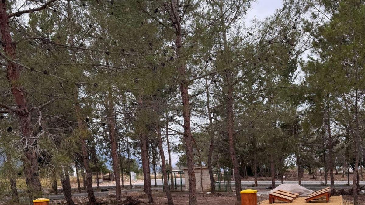 Başkan Kırok'tan Anneler Günü Kutlaması ve Yaptıkları İşlerle İlgili Önemli Açıklamalar