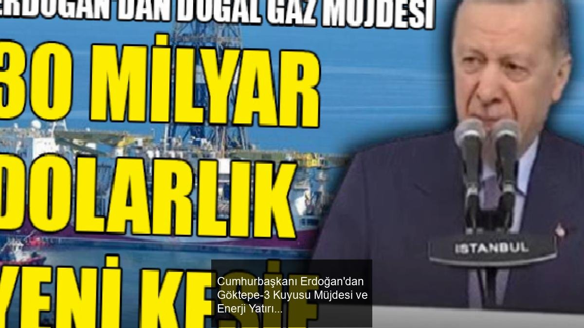 Cumhurbaşkanı Erdoğan'dan Göktepe-3 Kuyusu Müjdesi ve Enerji Yatırımları