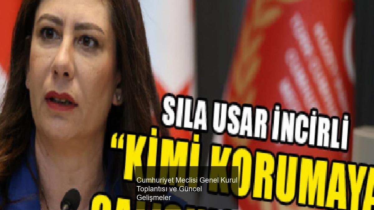 Cumhuriyet Meclisi Genel Kurul Toplantısı ve Güncel Gelişmeler