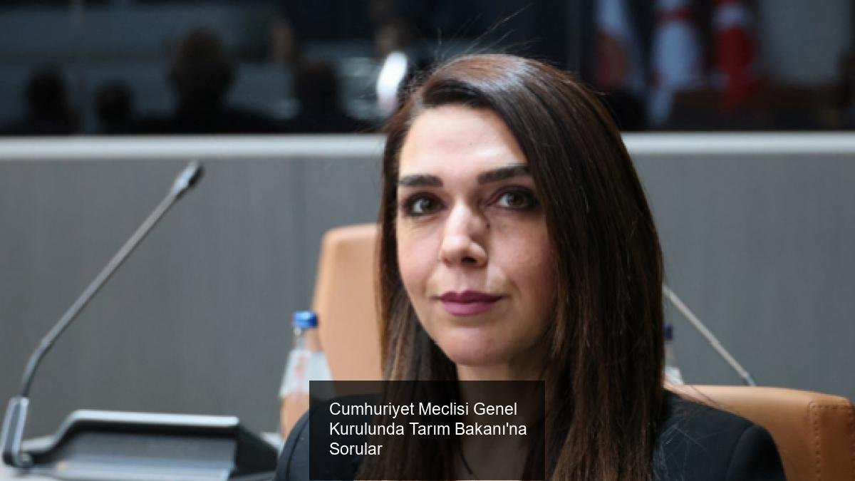 Cumhuriyet Meclisi Genel Kurulunda Tarım Bakanı'na Sorular