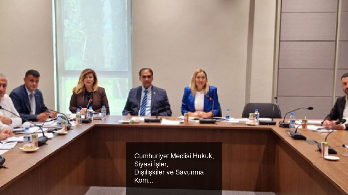 Cumhuriyet Meclisi Hukuk, Siyasi İşler, Dışilişkiler ve Savunma Komitesi Toplantısı