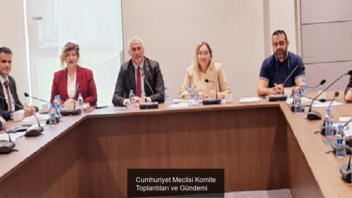 Cumhuriyet Meclisi Komite Toplantıları ve Gündemi
