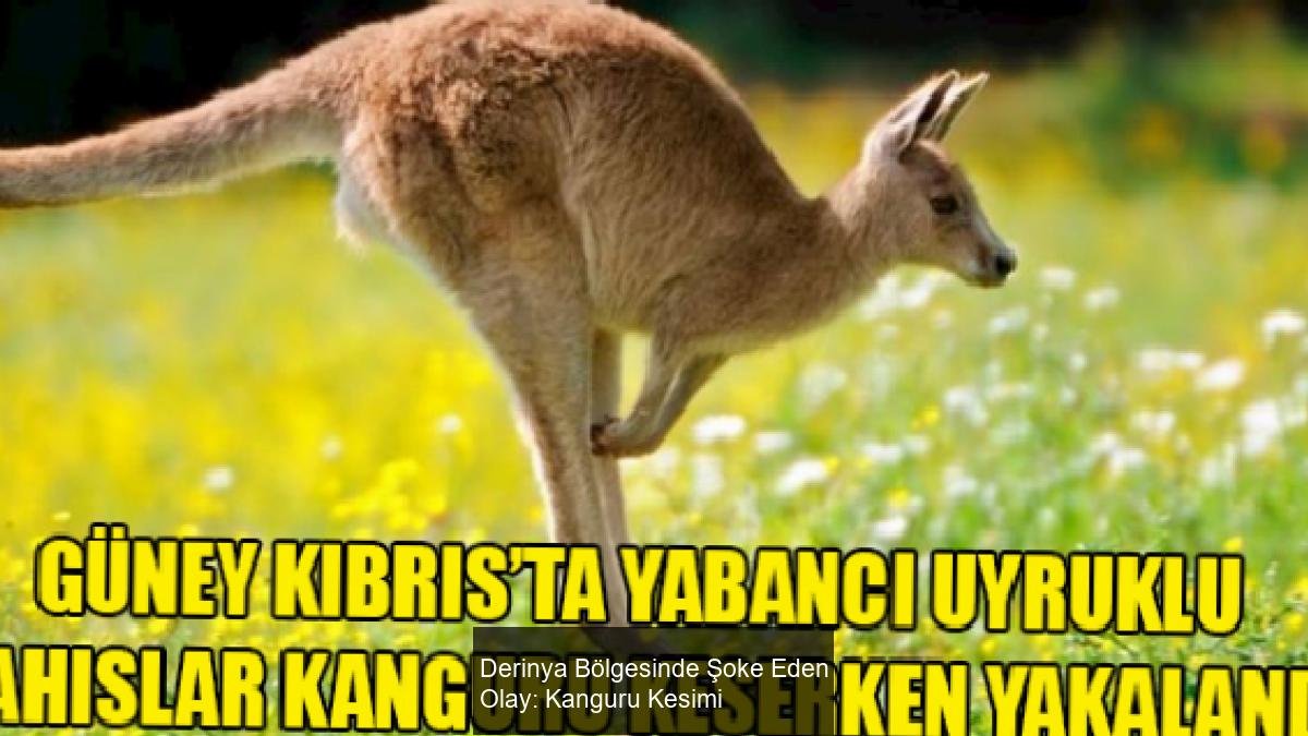 Derinya Bölgesinde Şoke Eden Olay: Kanguru Kesimi