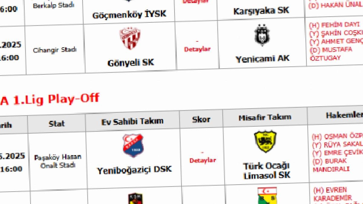 Giriş