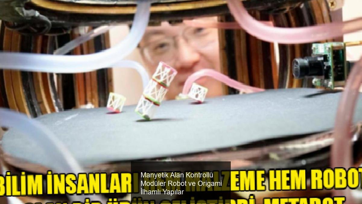 Manyetik Alan Kontrollü Modüler Robot ve Origami İlhamlı Yapılar