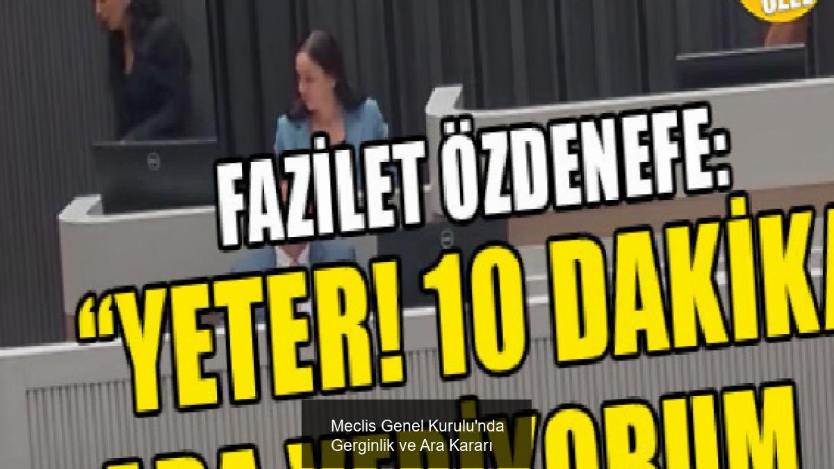 Meclis Genel Kurulu'nda Gerginlik ve Ara Kararı