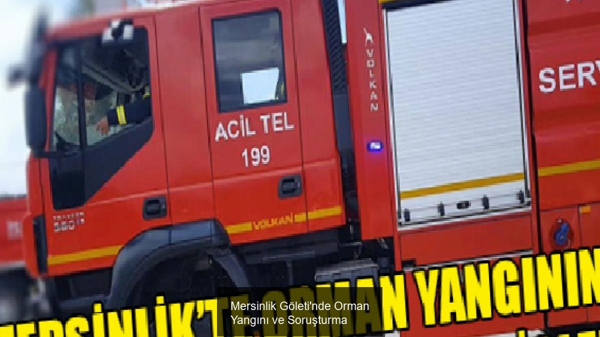 Mersinlik Göleti'nde Orman Yangını ve Soruşturma