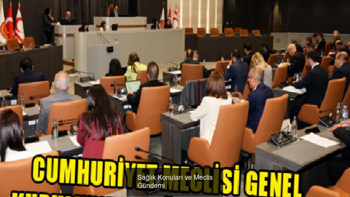 Sağlık Konuları ve Meclis Gündemi