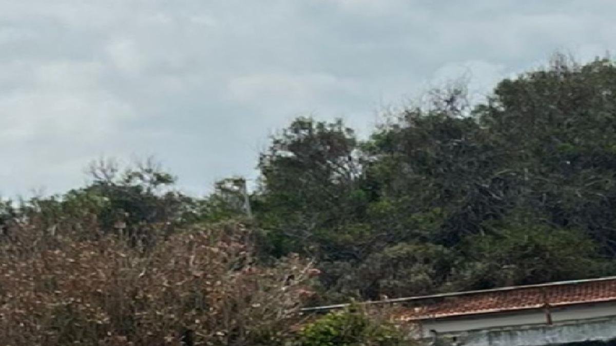 Çevreci Yaklaşımlar ve Sürdürülebilir Üretim