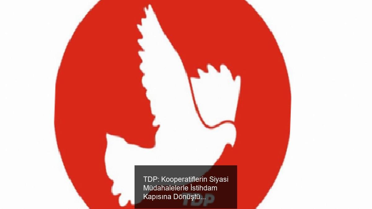 TDP: Kooperatiflerin Siyasi Müdahalelerle İstihdam Kapısına Dönüştürülmesine Son Verilmeli